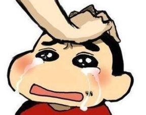 大叫受不了了好爽国产,大叫受不了了好爽国产生态解析